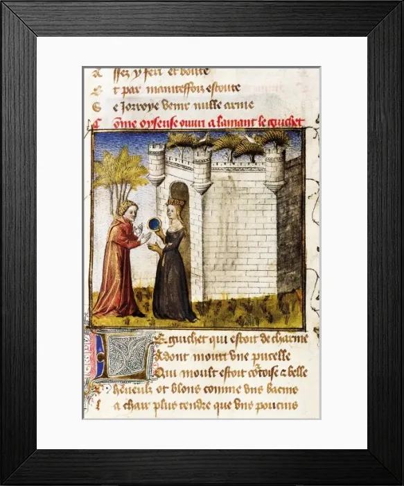 Framed Print : The Romance of the Rose Framed Print : The Romance of the Rose
