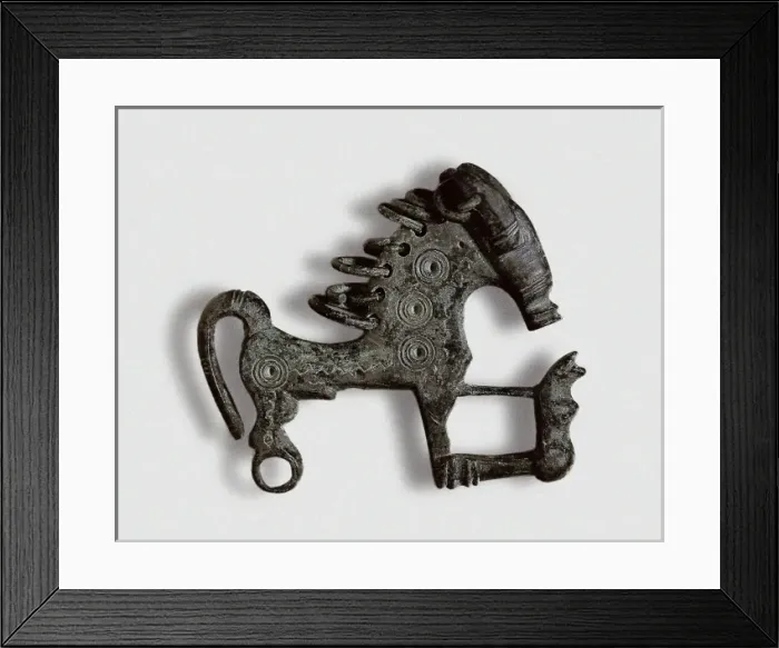 Framed Print : Horse fibula Framed Print : Horse fibula