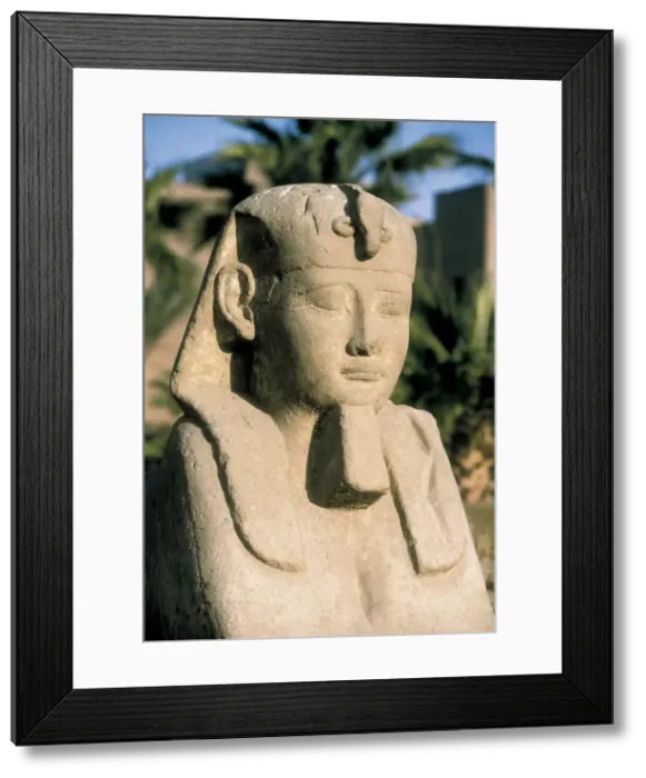 Framed Print : Temple of Amon - Ra. EGYPT. QUENA. Luxor. Thebes Framed Print : Temple of Amon - Ra. EGYPT. QUENA. Luxor. Thebes