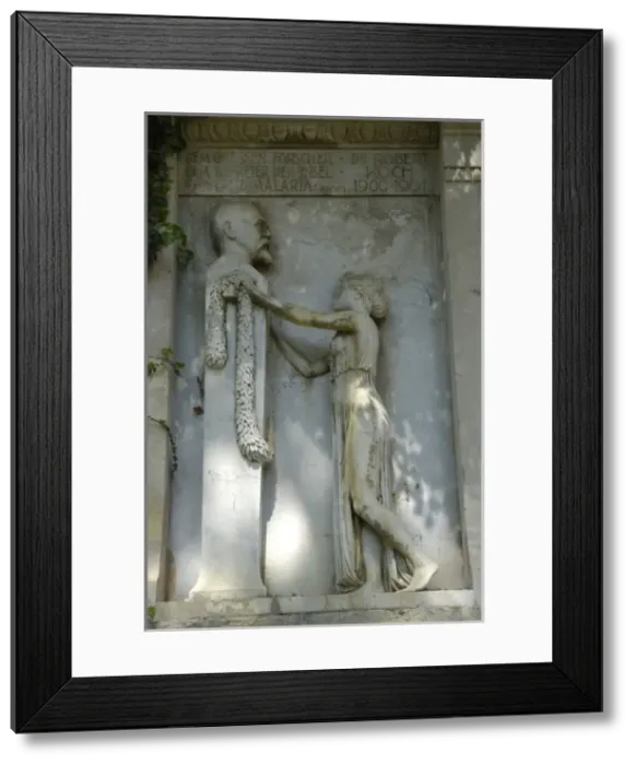 Framed Print : CROATIA. ISTRIA. Brijuni Islands National Park Framed Print : CROATIA. ISTRIA. Brijuni Islands National Park