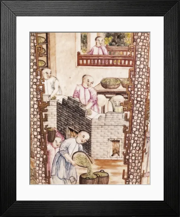 Framed Print : IRAN. Tehran. Golestan Palace. Tea growing. Leaf Framed Print : IRAN. Tehran. Golestan Palace. Tea growing. Leaf