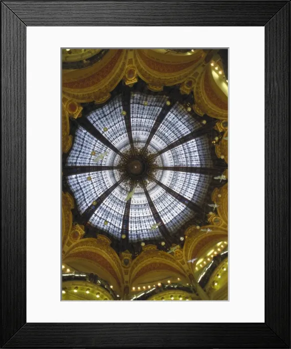 Framed Print : FRANCE. ΌE-DE-FRANCE. PARIS. Paris. Galleries Framed Print : FRANCE. ΌE-DE-FRANCE. PARIS. Paris. Galleries