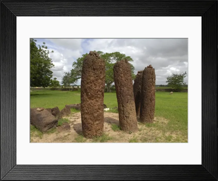 Framed Print : THE GAMBIA. Wassu. Stone circles Framed Print : THE GAMBIA. Wassu. Stone circles