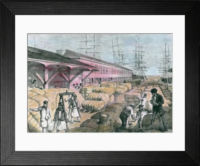 Framed Print : Cotton shipping from Charleston, South Carolina Framed Print : Cotton shipping from Charleston, South Carolina