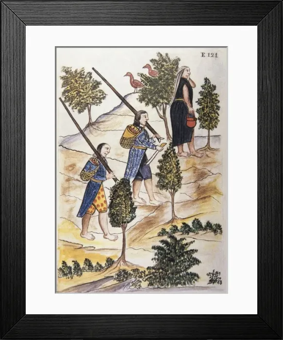 Framed Print : MART͎EZ COMPAѓN Y BUJANDA, Baltasar Jaime (1735-1797) Framed Print : MART͎EZ COMPAѓN Y BUJANDA, Baltasar Jaime (1735-1797)
