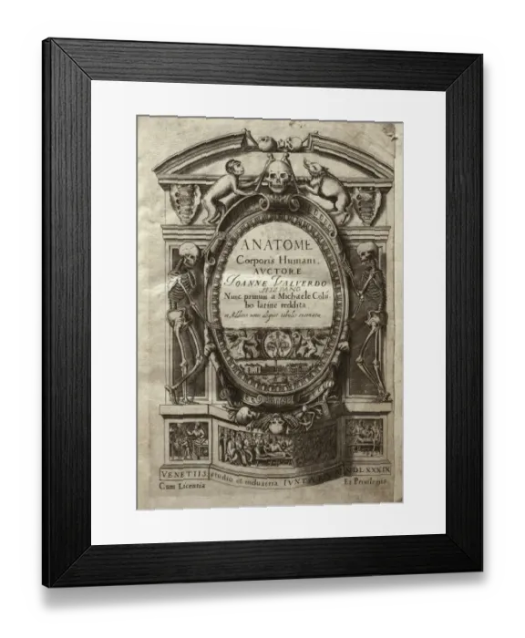 Framed Print : VALVERDE DE AMUSCO, Juan (1525-1588). Anatome Framed Print : VALVERDE DE AMUSCO, Juan (1525-1588). Anatome