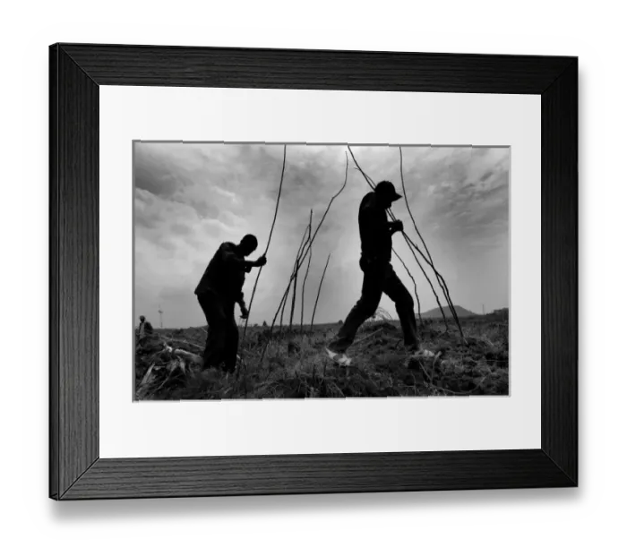 Framed Print : CONGO, Democratic Republic of the. NORTH KIVU Framed Print : CONGO, Democratic Republic of the. NORTH KIVU