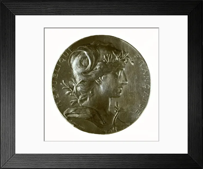 Framed Print : Medal of golden bronze, work by Jean-Baptiste Framed Print : Medal of golden bronze, work by Jean-Baptiste