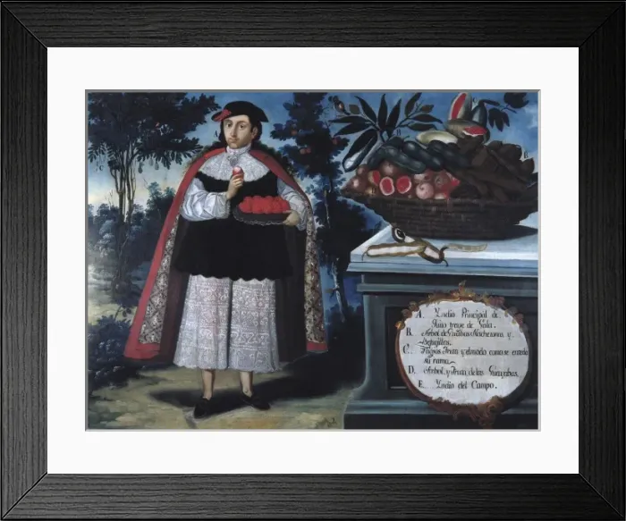 Framed Print : ALBAN, Vicente (18th c. ). Quitos Indian Chief Framed Print : ALBAN, Vicente (18th c. ). Quitos Indian Chief