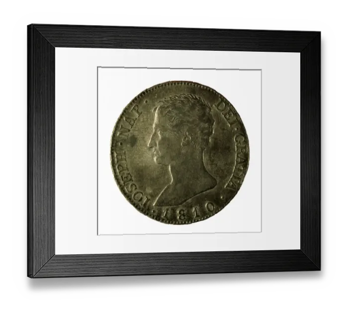 Framed Print : 20 reales coin. Obverse with portrait of Framed Print : 20 reales coin. Obverse with portrait of