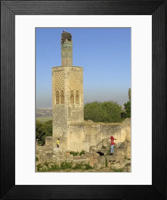 Framed Print : MOROCCO. Rabat. Chellah Necropolis. Minaret in Framed Print : MOROCCO. Rabat. Chellah Necropolis. Minaret in