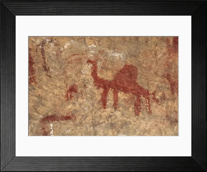 Framed Print : LIBYA. Tadrart Acacus. Representation of a dromedary Framed Print : LIBYA. Tadrart Acacus. Representation of a dromedary