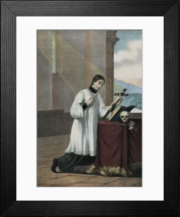 Framed Print : Litography Framed Print : Litography