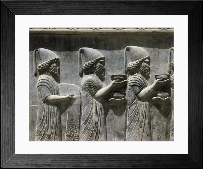 Framed Print : IRAN. Persepolis. Palace of Darius. Cortege of Framed Print : IRAN. Persepolis. Palace of Darius. Cortege of