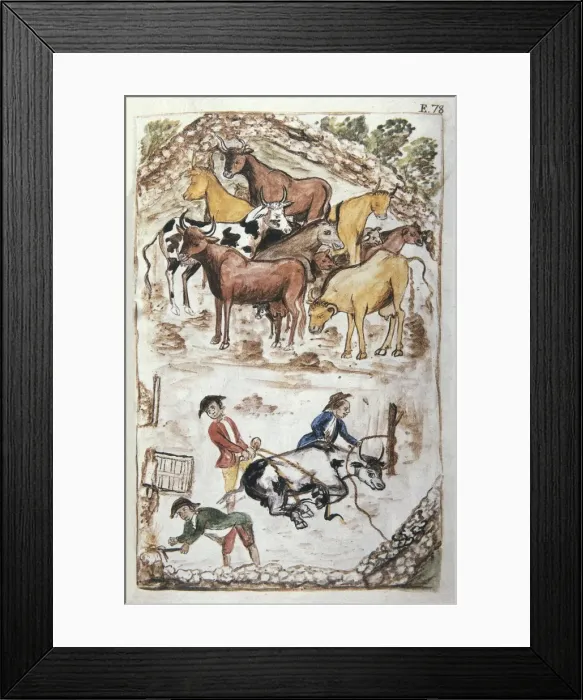 Framed Print : MART͎EZ COMPAѓN Y BUJANDA, Baltasar Jaime (1735-1797) Framed Print : MART͎EZ COMPAѓN Y BUJANDA, Baltasar Jaime (1735-1797)