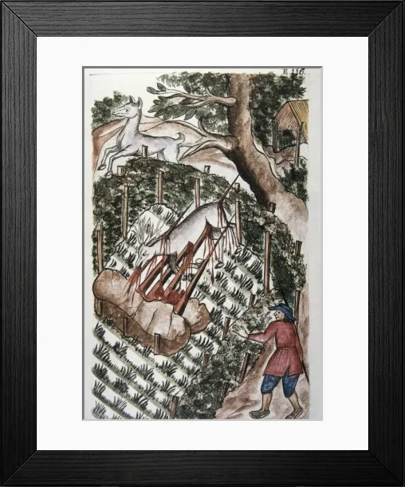 Framed Print : MART͎EZ COMPAѓN Y BUJANDA, Baltasar Jaime (1735-1797)