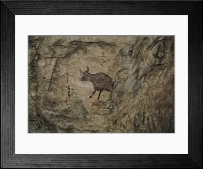 Framed Print : Bull in Levantine naturalistic style from Abrigo Framed Print : Bull in Levantine naturalistic style from Abrigo