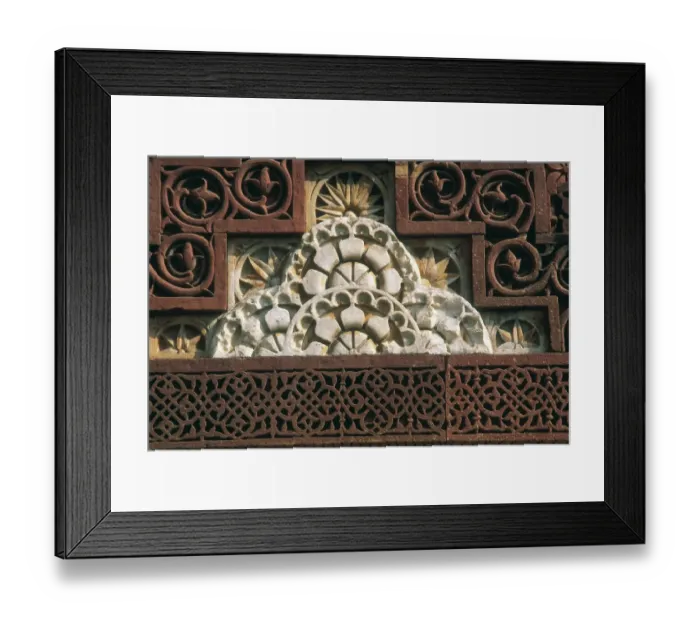 Framed Print : INDIA. DELHI. Delhi. Ornamental detail of Framed Print : INDIA. DELHI. Delhi. Ornamental detail of