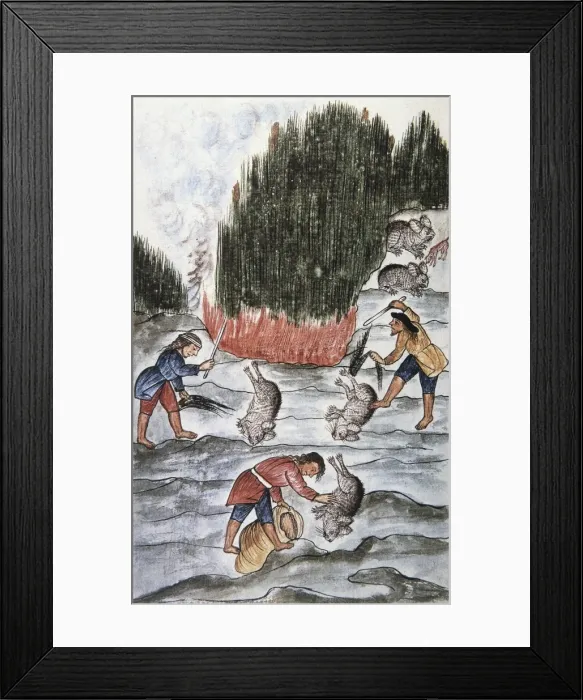 Framed Print : MART͎EZ COMPAѓN Y BUJANDA, Baltasar Jaime (1735-1797) Framed Print : MART͎EZ COMPAѓN Y BUJANDA, Baltasar Jaime (1735-1797)