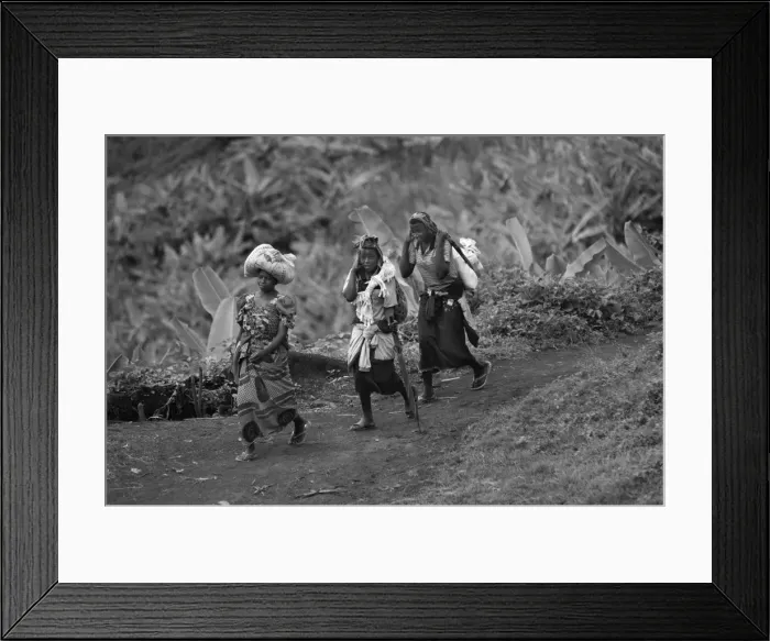 Framed Print : CONGO, Democratic Republic of the. NORTH KIVU Framed Print : CONGO, Democratic Republic of the. NORTH KIVU