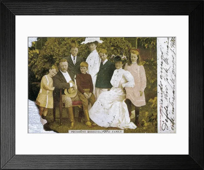 Framed Print : ROOSEVELT, Theodore (1858-1919). United States Framed Print : ROOSEVELT, Theodore (1858-1919). United States