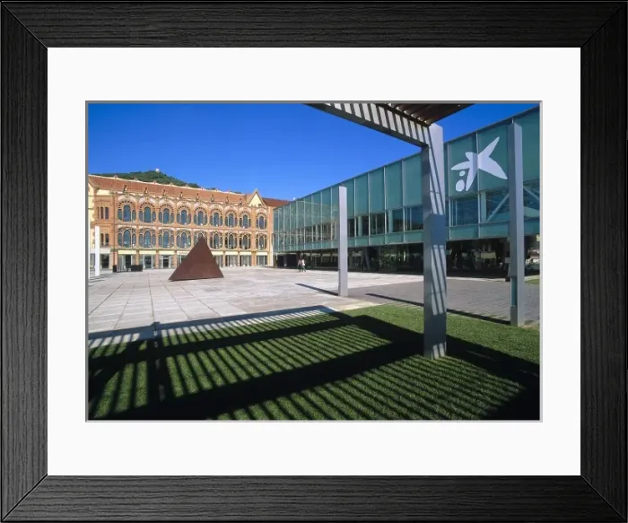 Framed Print : SPAIN. CATALONIA. BARCELONA. Barcelona. Cosmocaixa Framed Print : SPAIN. CATALONIA. BARCELONA. Barcelona. Cosmocaixa