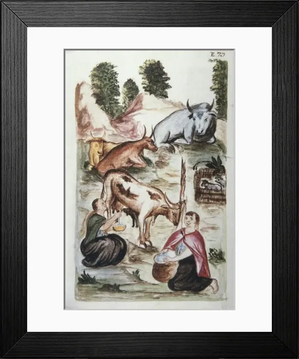 Framed Print : MART͎EZ COMPAѓN Y BUJANDA, Baltasar Jaime (1735-1797)