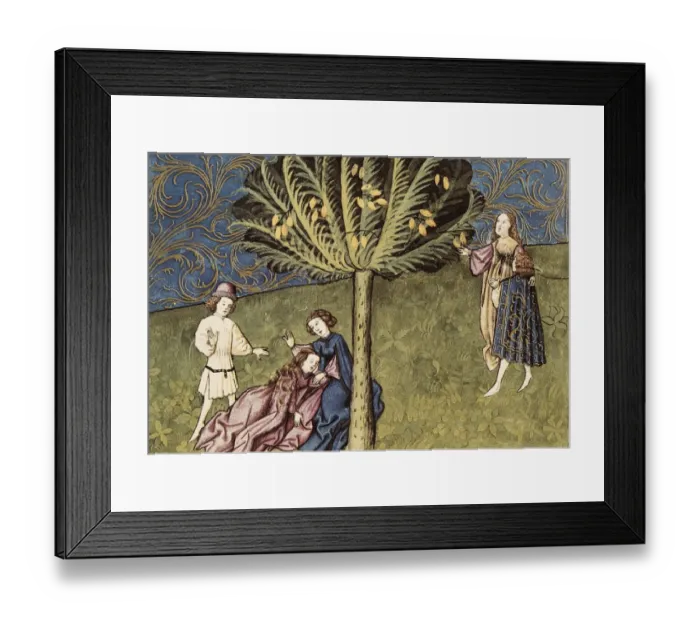 Framed Print : THOMAS of Cantimpr頨1201-1276). Codex Granatensis Framed Print : THOMAS of Cantimpr頨1201-1276). Codex Granatensis