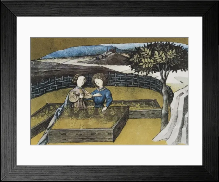 Framed Print : THOMAS of Cantimpr頨1201-1276). Codex Granatensis Framed Print : THOMAS of Cantimpr頨1201-1276). Codex Granatensis