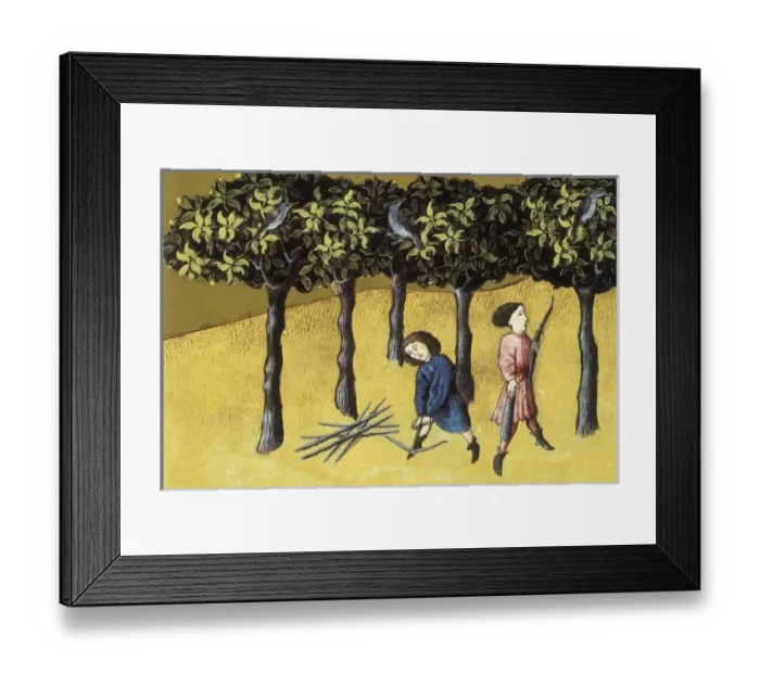 Framed Print : THOMAS of Cantimpr頨1201-1276). Codex Granatensis Framed Print : THOMAS of Cantimpr頨1201-1276). Codex Granatensis