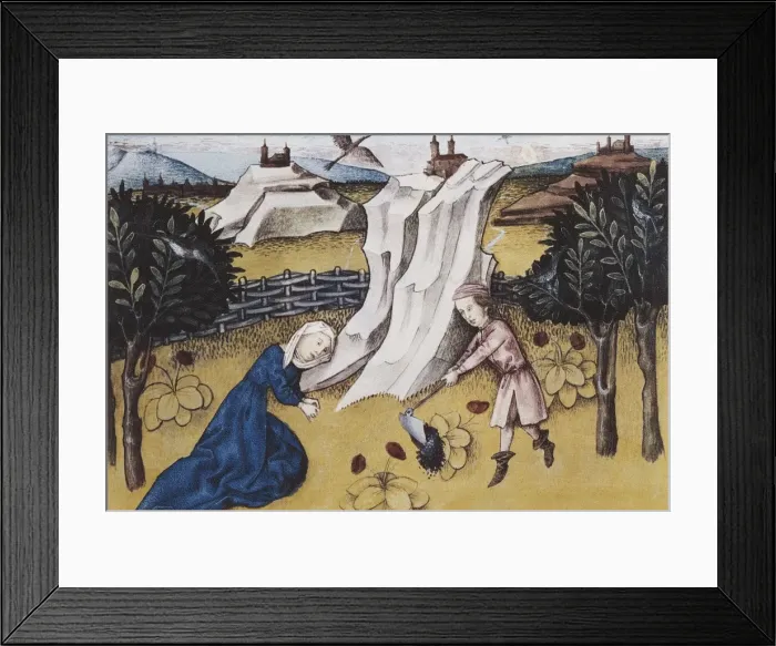 Framed Print : THOMAS of Cantimpr頨1201-1276). Codex Granatensis Framed Print : THOMAS of Cantimpr頨1201-1276). Codex Granatensis