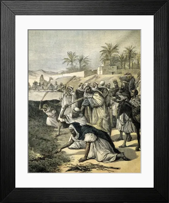 Framed Print : Algeria (1891). Algerians fighting the locust Framed Print : Algeria (1891). Algerians fighting the locust