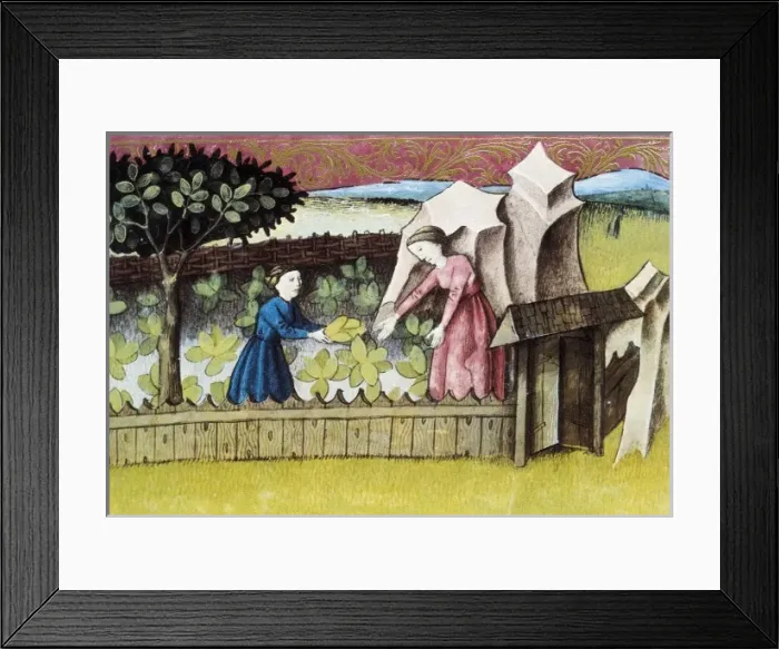 Framed Print : THOMAS of Cantimpr頨1201-1276). Codex Granatensis Framed Print : THOMAS of Cantimpr頨1201-1276). Codex Granatensis