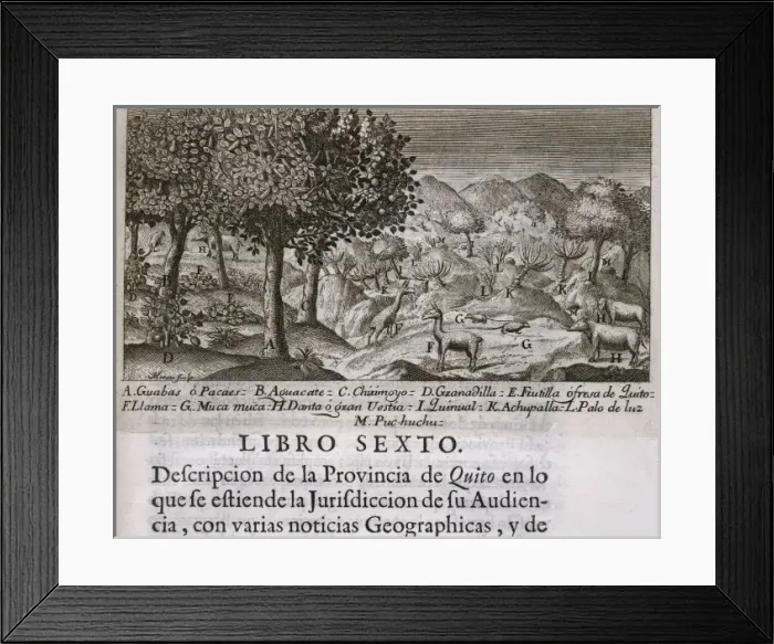Framed Print : Title page of the book Description of Quito Framed Print : Title page of the book Description of Quito