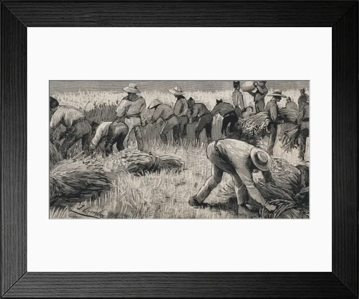 Framed Print : Spain (19th c. ). Soldiers of the hunters battalion Framed Print : Spain (19th c. ). Soldiers of the hunters battalion