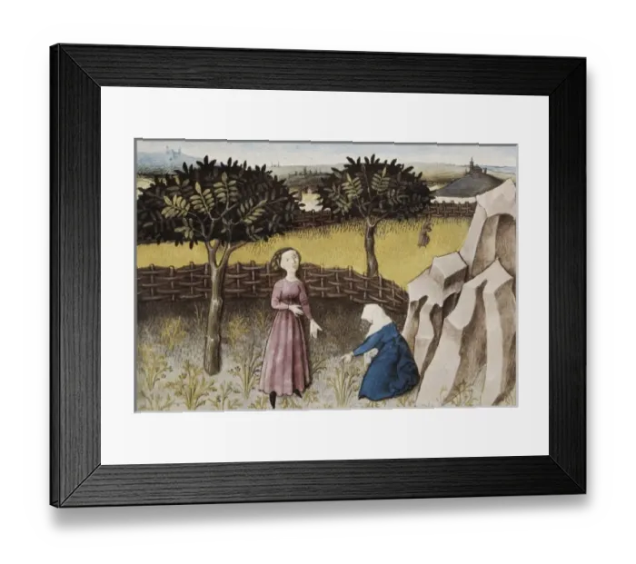 Framed Print : THOMAS of Cantimpr頨1201-1276). Codex Granatensis Framed Print : THOMAS of Cantimpr頨1201-1276). Codex Granatensis