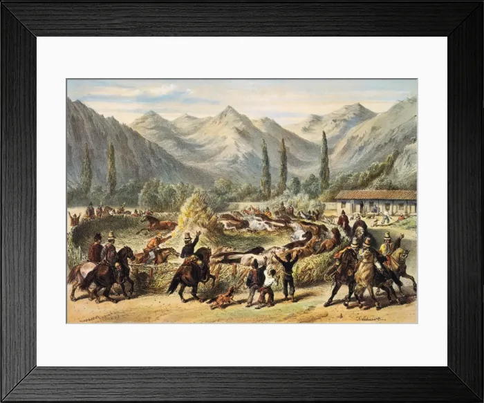 Framed Print : Threshing in Chile; ; Illustration fom History Framed Print : Threshing in Chile; ; Illustration fom History