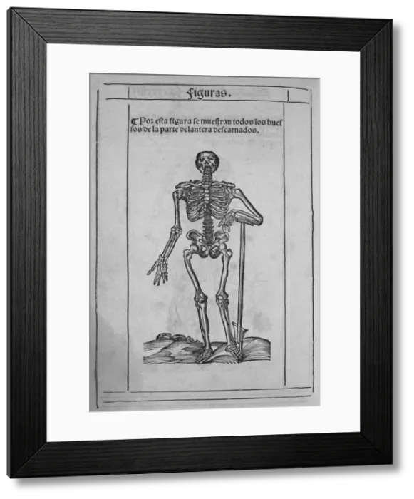 Framed Print : MONTAсDE MONSERRATE, Bernardino (1480-1588) Framed Print : MONTAсDE MONSERRATE, Bernardino (1480-1588)