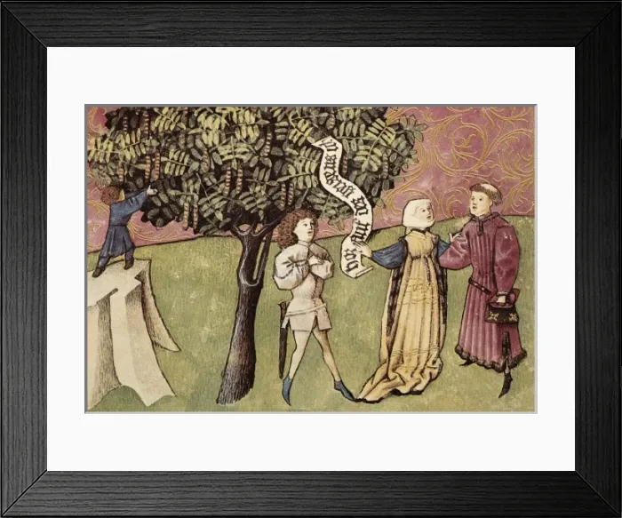 Framed Print : THOMAS of Cantimpr頨1201-1276). Codex Granatensis Framed Print : THOMAS of Cantimpr頨1201-1276). Codex Granatensis