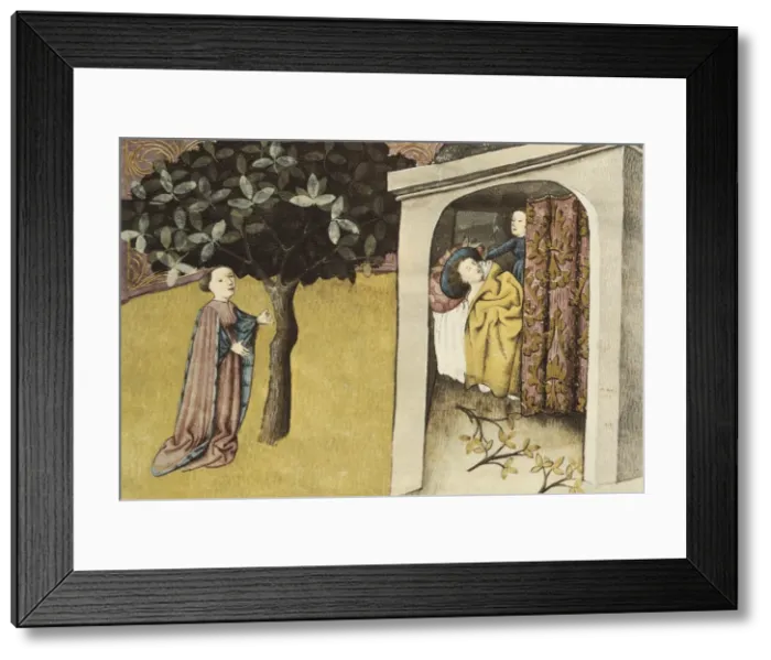 Framed Print : THOMAS of Cantimpr頨1201-1276). Codex Granatensis Framed Print : THOMAS of Cantimpr頨1201-1276). Codex Granatensis