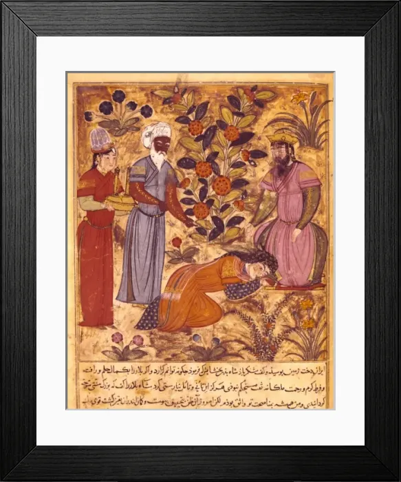 Framed Print : Shahnameh. The Book of Kings. 16th c. A women Framed Print : Shahnameh. The Book of Kings. 16th c. A women