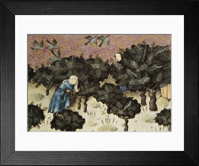 Framed Print : THOMAS of Cantimpr頨1201-1276). Codex Granatensis Framed Print : THOMAS of Cantimpr頨1201-1276). Codex Granatensis