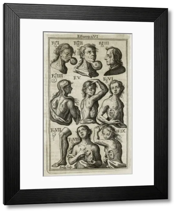 Framed Print : SUREZ de RIBERA, Francisco (s. XVIII). Spanish