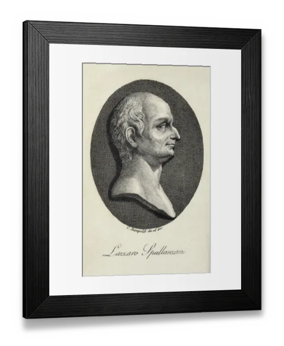 Framed Print : SPALLANZANI, Lazzaro (1729-1799). Portrait of Framed Print : SPALLANZANI, Lazzaro (1729-1799). Portrait of