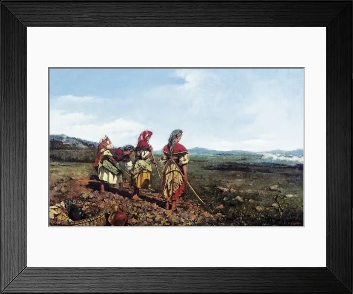 Framed Print : VAYREDA i VILA, Joaquim (1843-1894). Napolitan Framed Print : VAYREDA i VILA, Joaquim (1843-1894). Napolitan