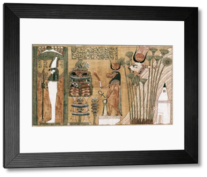 Framed Print : Book of the Dead or Papyrus of Any. ca. 1275 Framed Print : Book of the Dead or Papyrus of Any. ca. 1275