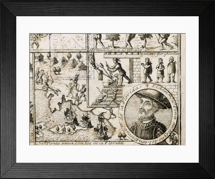 Framed Print : 0 0 Framed Print : 0 0