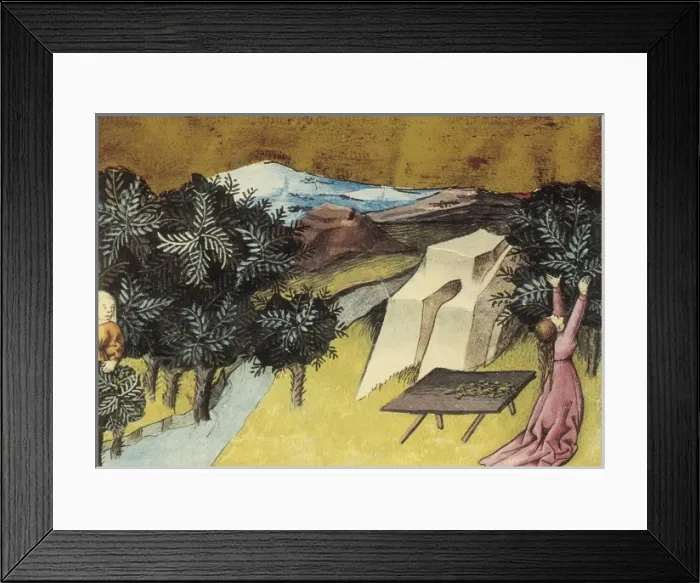 Framed Print : THOMAS of Cantimpr頨1201-1276). Codex Granatensis Framed Print : THOMAS of Cantimpr頨1201-1276). Codex Granatensis