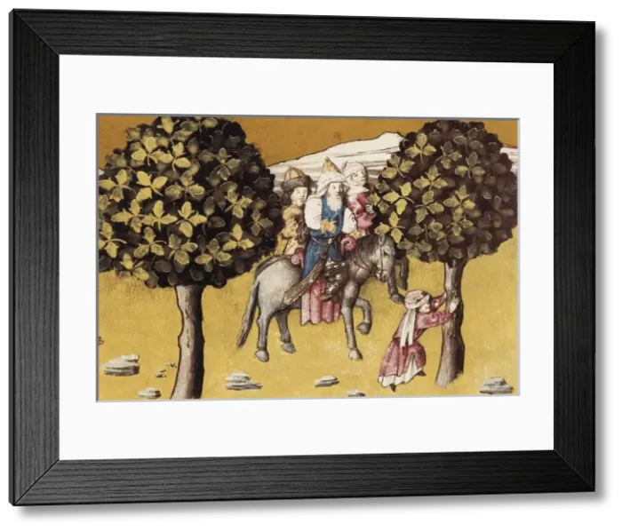 Framed Print : THOMAS of Cantimpr頨1201-1276). Codex Granatensis Framed Print : THOMAS of Cantimpr頨1201-1276). Codex Granatensis