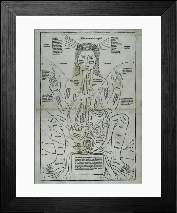 Framed Print : KETHAM, Johannes de (second half 15th century-begin Framed Print : KETHAM, Johannes de (second half 15th century-begin